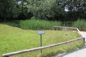 Infoschild Rundgang Affenberg Salem