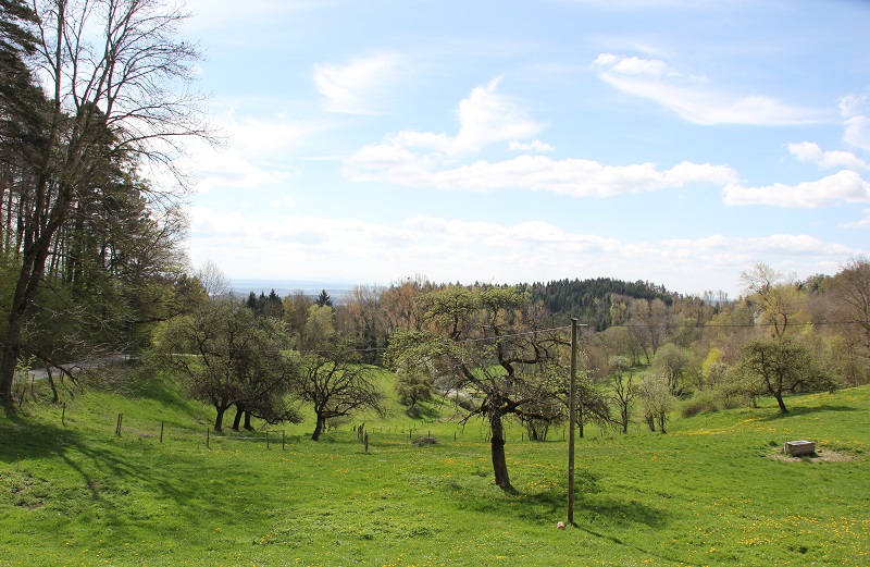 Veranstaltungen im April 2020 in Oberschwaben