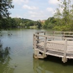 Steg auf Mendlishauser Weiher