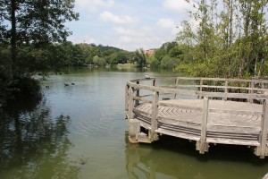 Steg auf Mendlishauser Weiher