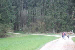 Wanderweg Jungholz