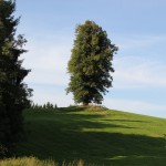 Anhoehe neben der Burg Kisslegg
