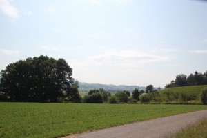 05 Blick Auhof