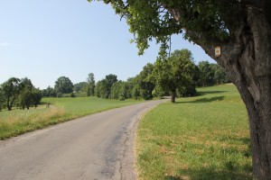 07 Anstieg vor Waldrand Lattener Steige