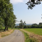 14 Anstieg vor Waldgrenze Lattener Steige