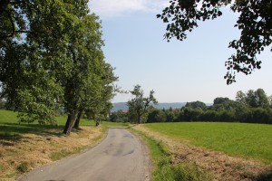 14 Anstieg vor Waldgrenze Lattener Steige