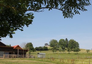 18 Hoechsten Ausblicksturm