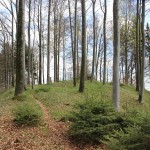 Burghuegel Schwedenschanze Frickingen