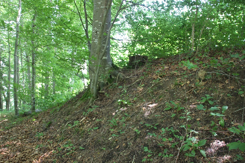 Burgberg Gebelberg bei Zußdorf