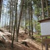 Schwedenschanze Frickingen | Ringburg Infotafel Schwedenschanze Frickingen