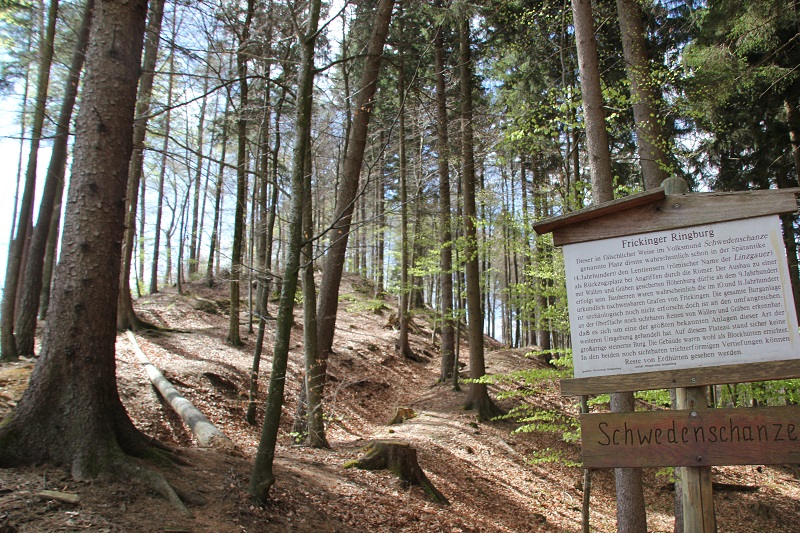 Schwedenschanze Frickingen | Ringburg