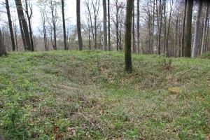 Spornecke Schwedenschanze Frickingen