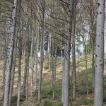 Verlauf Sporn Schwedenschanze Frickingen