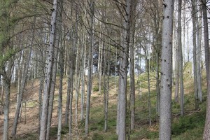 Verlauf Sporn Schwedenschanze Frickingen