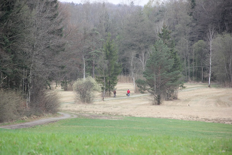 Dornacher Ried, Blindsee & Vorsee-Wegeried