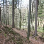 Wall Graben Schwedenschanze Frickingen