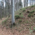 Wall Ringburg Frickingen