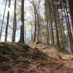 Wallanlage Burgstall Frickingen