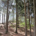 Wallanlage Schwedenschanze Frickingen
