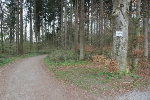Wanderweg durch Dornacher Ried Wald