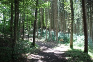 Wanderwege Gebelberg Burgbergle