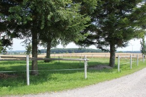 Weg entlang ehemalige Ritterburg Magenhaus