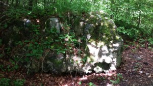 Mauerreste Burgruine Biegenburg