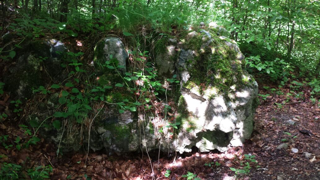 Biegenburg | Ruine mit Mauerresten