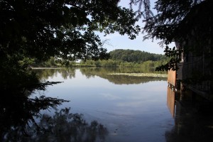 Buchsee Blitzenreuter Seenplatte