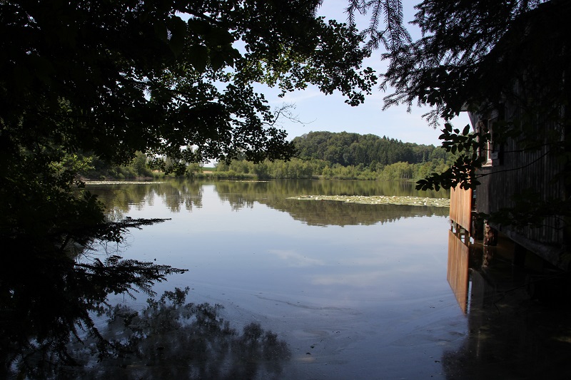 Buchsee | Camping & Natur auf der Blitzenreuter Seenplatte