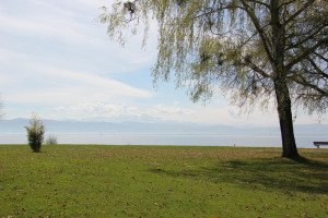 Alpenpanorama Strandbad Eriskirch