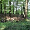 Burgstall Michelwinnaden | Alte Burg Anhoehe Burgwall Michelwinnaden