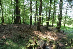 Befestigung Burgstall Michelwinnaden