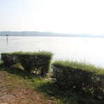 Hecken Strandbad Klausenhorn