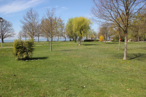 Liegewiese Strandbad Eriskirch