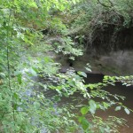 Hoehlen beim Felsbaedle Mochenwangen