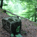 Marke Burgstall Ringburg Adelmuehle