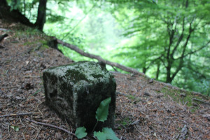 Marke Burgstall Ringburg Adelmuehle