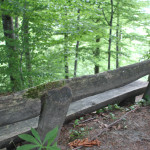 Sitzbank Ringburg Adelmuehle