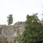 Felswand Loewenfelsen Blaustein-Ehrenstein