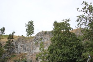 Felswand Loewenfelsen Blaustein-Ehrenstein