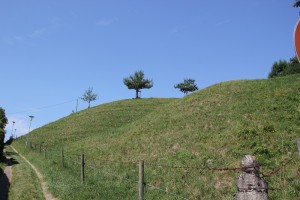 Pfad zur Burgruine Neuravensburg