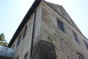 Alte Neue Klosterbibliothek Reichenau
