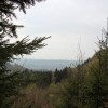 Wanderung auf dem Heiligenberg Ausblick Mulde Heiligenberg Wald