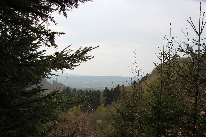 Ausblick Mulde Heiligenberg Wald