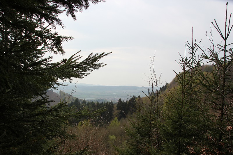 Wanderung auf dem Heiligenberg