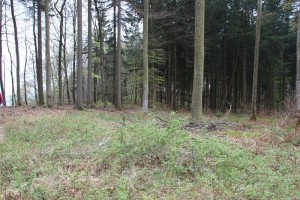 Burgplatz Alt-Heiligenberg