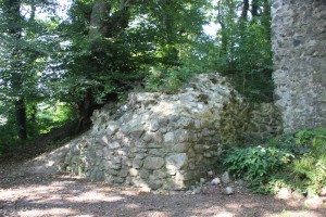 Burgruine Schenkenburg Winterstettenstadt