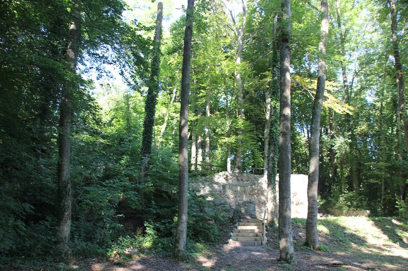 Ruine Schenkenburg Winterstettenstadt