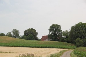 Weg Freudenberg